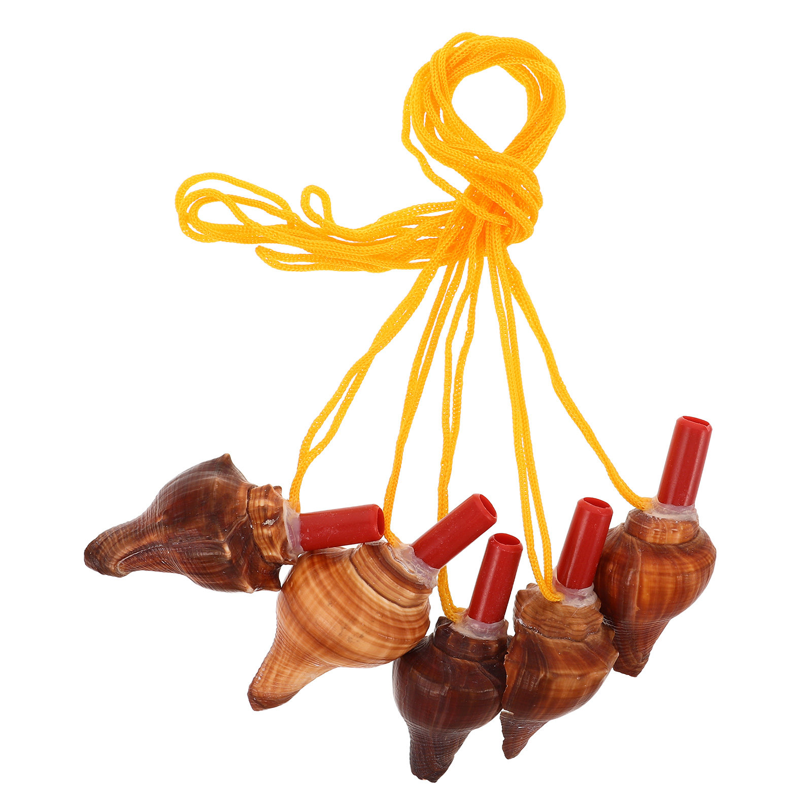 Sifflet en coquillage naturel  - Outdoor Adventure Kids Party avis et prix